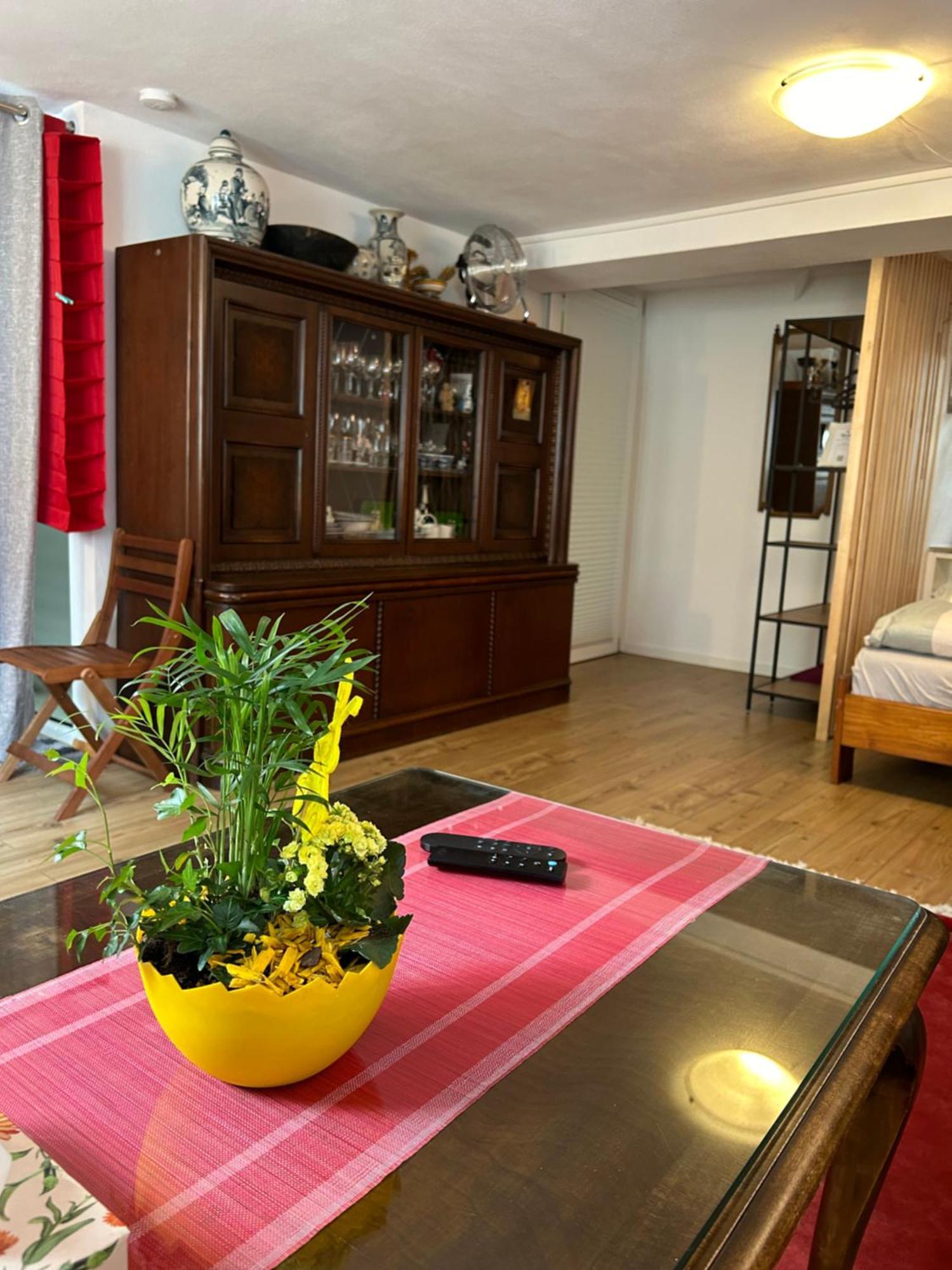Homestay Waldshut-Tiengen Exterior photo
